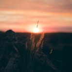 Profile Picture of Jeffery Hawkinson (@Jeffery-Hawkinson) on Facebook