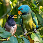 Profile Picture of Sandip Chauhan (@SandipChauhan-s4) on Youtube