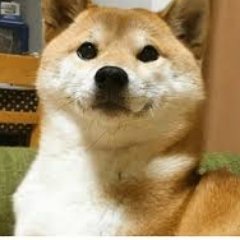 Profile Picture of Daniel McCray (@RobloxLover2532) on Twitter