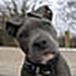 Profile Picture of Keith Hayes (@keith_hayes) on Flickr