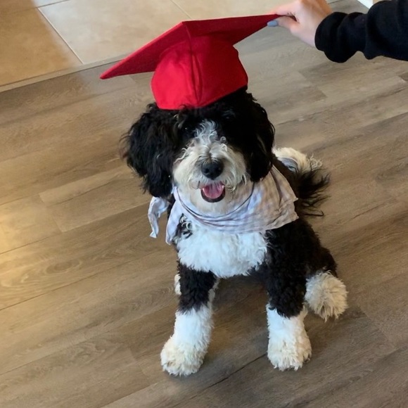 Profile Picture of Avery Rowlands (@averylrowlands) on Poshmark