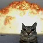 Profile Picture of Indri Pendekk (@Indri-Pendekk) on Facebook