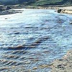 Robert Ayre - Instagram Profile Picture of Robert Ayre (@crimdonponyworld) on Instagram