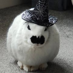 Robert Wortley - Tiktok Profile Picture of Robert Wortley (@robert.wortley) on Tiktok