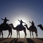 Profile Picture of Kim Doucette (@kimjo1124) on Instagram