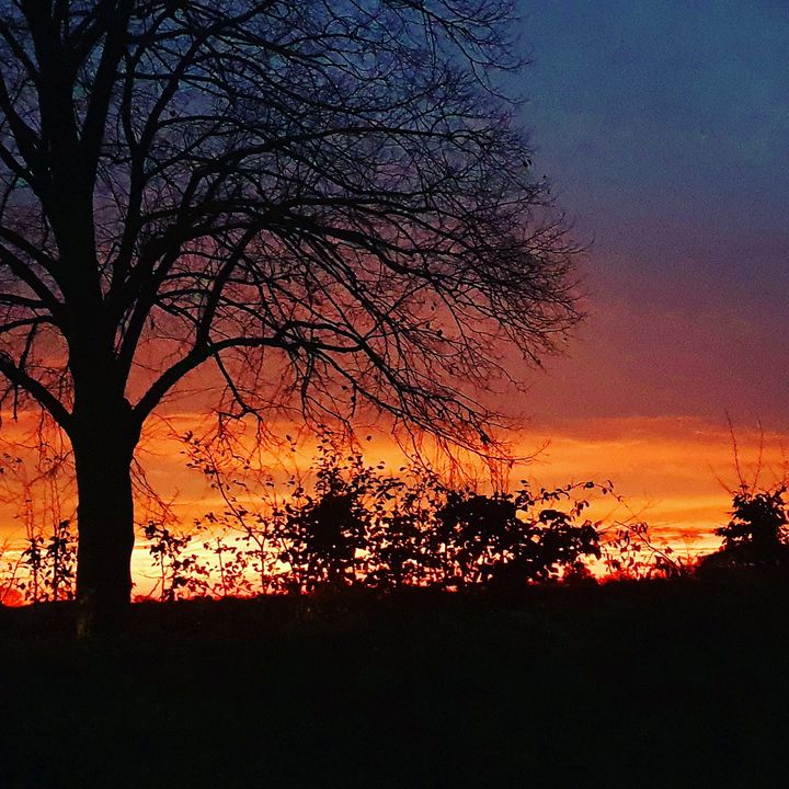 Profile Picture of Toby Feldmann (@toby.f96) on Tiktok