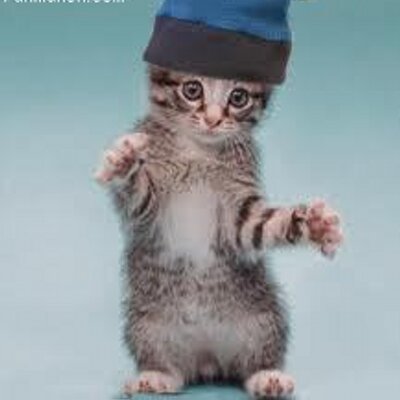 Profile Picture of Ananda Adam Hanan (@AdamAnanda) on Twitter