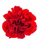 Profile Picture of Pedro Jackson (@pedrojackson11776) on Instagram