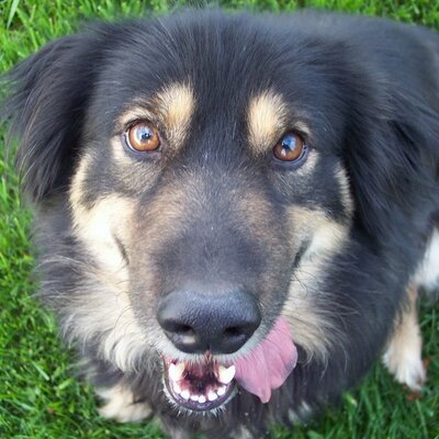 Profile Picture of Corey Coe (@coreycoe) on Twitter