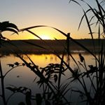 Profile Picture of Ray  Cochran (@rcochran767) on Instagram