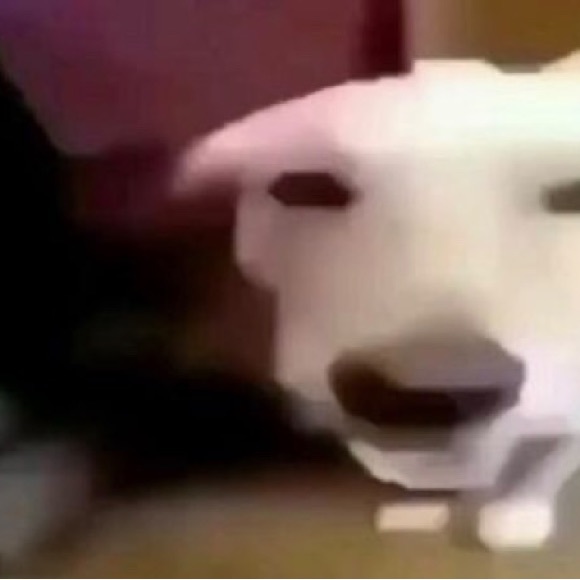 Profile Picture of Derek Chen (@derekc11209) on Poshmark