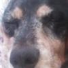 Profile Picture of Patrick Vaught998 (@@foxy256486) on Tiktok