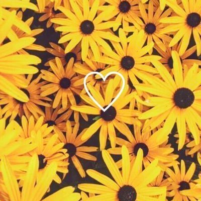 Profile Picture of Iloveyou (@carlylund2) on Twitter