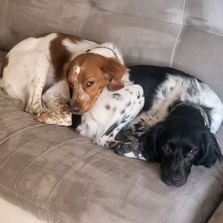 Profile Picture of christophejournet8 (@christophejournet8) on Tiktok