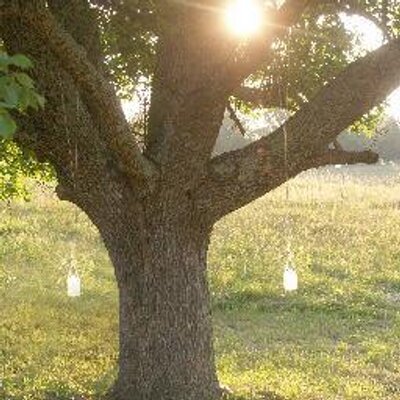 Profile Picture of Gene Stacy Chappell (@GeneStacyChapel) on Twitter