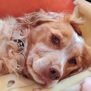 Profile Picture of Florence Fornet (@florence.fornet.5) on Facebook