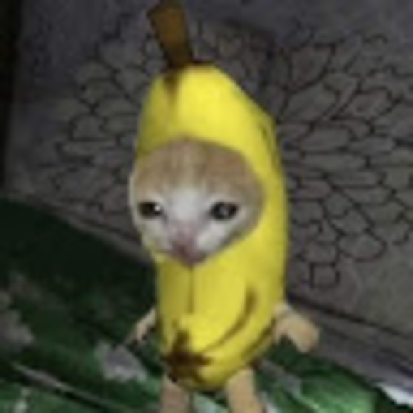 Phoenix Lindblad - Poshmark Profile Picture of Phoenix Lindblad (@superninjalynx) on Poshmark