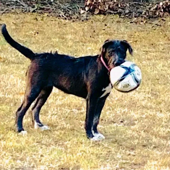 Profile Picture of Scott Austin (@scott.austin33) on Tiktok