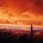 Profile Picture of martin (@martin_tower17) on Instagram