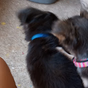 Profile Picture of April Calhoun (@aprilcalhoun958) on Youtube