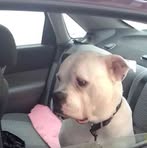 Profile Picture of Keith Tomas (@Keith-Tomas) on Facebook