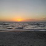 Profile Picture of lori bozacki (@bozbears13) on Instagram