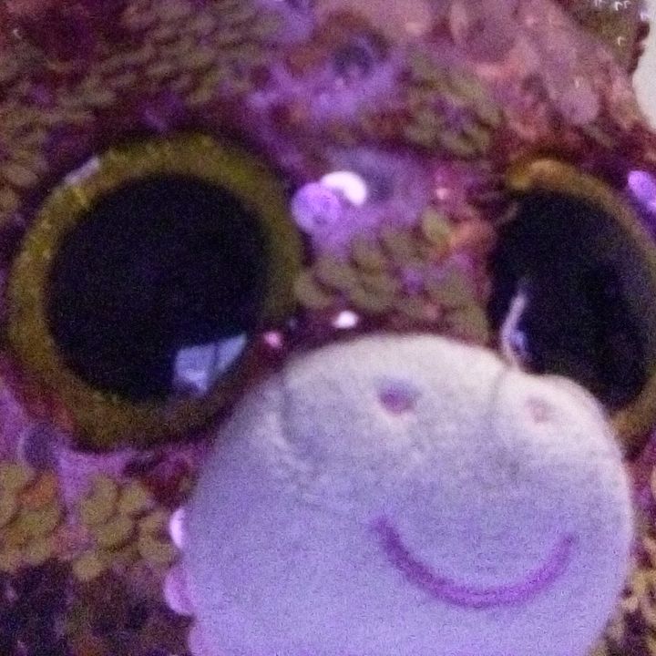 Profile Picture of hazelgraves (@hazelgraves) on Tiktok