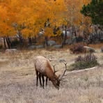 Profile Picture of Michael Flagler (@Michael-Flagler) on Facebook