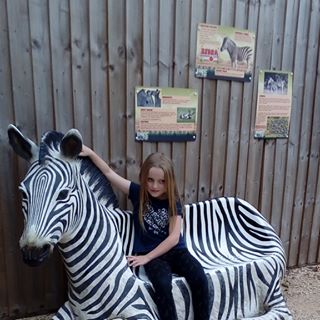 Profile Picture of Shirley Harding (@shirley.harding.9461) on Facebook