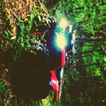 Profile Picture of Drew Marchbanks (@marchbanks_drew) on Instagram