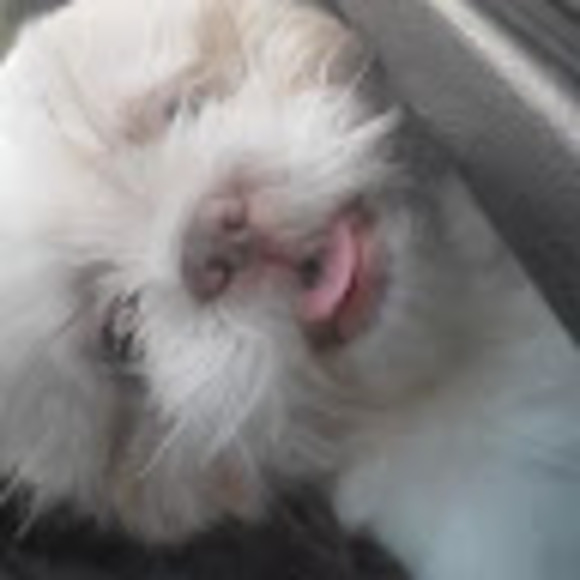 Profile Picture of Leonard James (@leonardjames861) on Poshmark