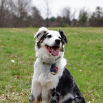 Profile Picture of Ryan Baker (@ryanbaker15) on Flickr