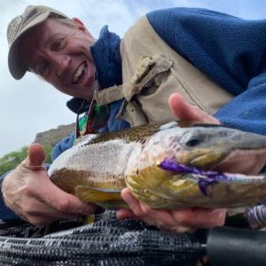 Profile Picture of John Levings (@LevingsJohn) on Twitter