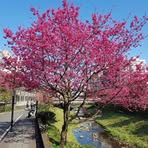 Profile Picture of HongYu Liu (@hongyu.liu.3344) on Facebook