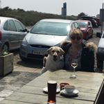 Profile Picture of Kathy King (@kathyking32) on Instagram