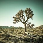 Profile Picture of Jeremy Frechette Fine Art (@frechettefineart) on Instagram