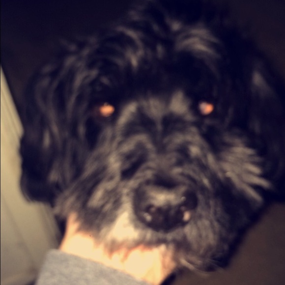 Profile Picture of Fabiola Jauregui (@fabsters22) on Poshmark