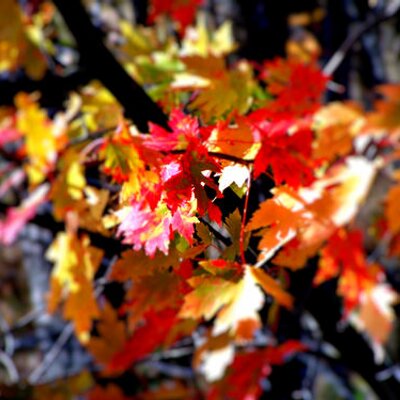 Profile Picture of Wayne A Sturgeon (@Tony16661) on Twitter