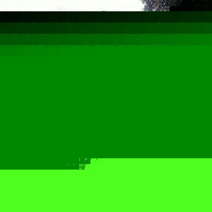 Profile Picture of Demetrius Rivera (@mryellagator) on Myspace