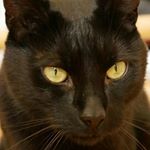 Profile Picture of paul welsch (@pau__welsch) on Instagram