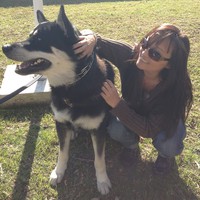 Profile Picture of Stacy Cha (@stacy-cha-4) on Quora