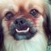 Profile Picture of Rocky Schneider (@rocky.schneider.77) on Facebook