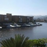 Profile Picture of Lupe Oropeza (@oropeza_lupe) on Twitter