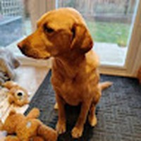 Profile Picture of Andrew Higham (@andrew-higham-11) on Quora