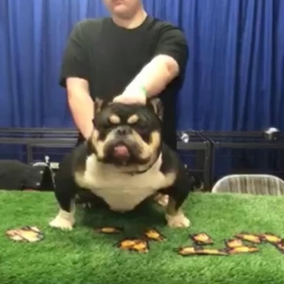 Profile Picture of Jon Scuderi (@jonscuderi) on Poshmark