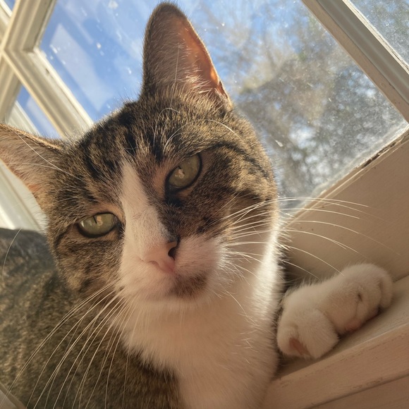 Profile Picture of Rosemary Edberg (@rosemary2547) on Poshmark