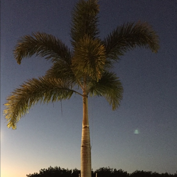 Jen Komito - Poshmark Profile Picture of Jen Komito (@jen1357) on Poshmark