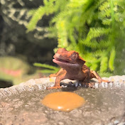 Profile Picture of Paige Hale (@paigehale7028) on Youtube