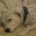 Profile Picture of Jerry Turner (@jerry.turner.1610092) on Facebook