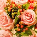 Profile Picture of Nilva Klein (@Nilva-Klein) on Facebook